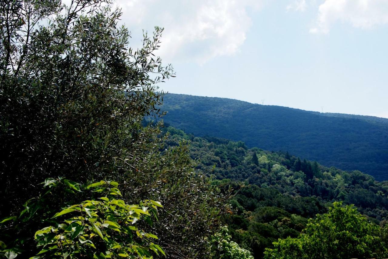 Hostal Montserrat Montseny Kültér fotó