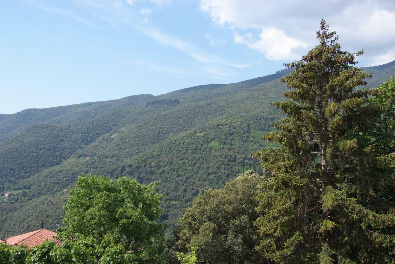 Hostal Montserrat Montseny Kültér fotó